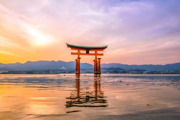 7-Day Japan Delight: Tokyo, Mt. Fuji, Kyoto by Intertrips - Who should book this Japan trip?