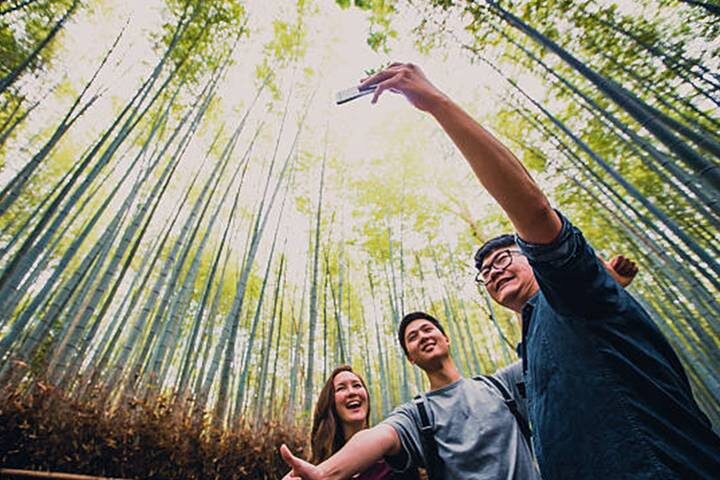 7 Day Japan Educational (Private Guide and Driver) - Umetravel - At a glance