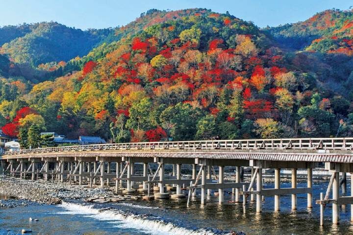 7 Day Japan Educational (Private Guide and Driver) - Umetravel - Hakone: a scenic day with several moving parts