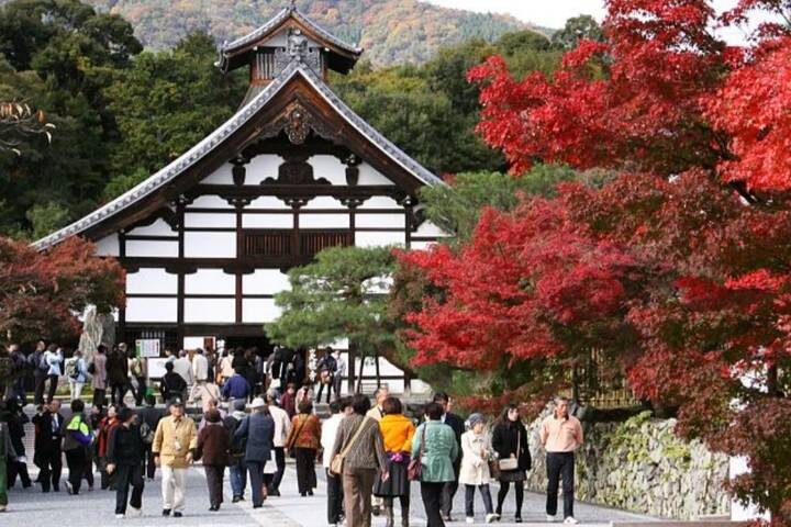 7 Day Japan Educational (Private Guide and Driver) - Umetravel - What the price covers, and what it does not
