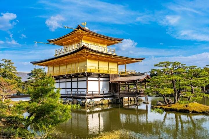 7 Day Japan Golden Route: Affordable Small Group Tour by UME Travel - Day 3: Tokyo’s shrine calm and city spectacle