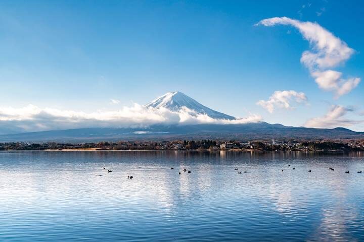 7 Day Japan on a Budget Small Group Tour Package by Tourist Journey - Day 3: Use your free Tokyo day well