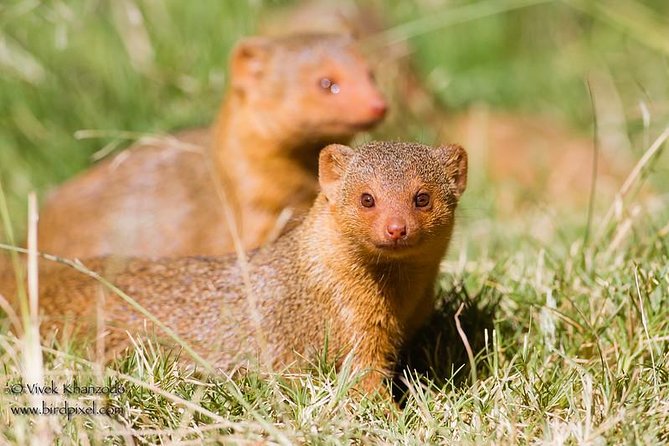 7 Day Joined Safari Serengeti,Ngorongoro,Manyara,Tarangire,Arusha National Park - Tour Logistics and Accessibility