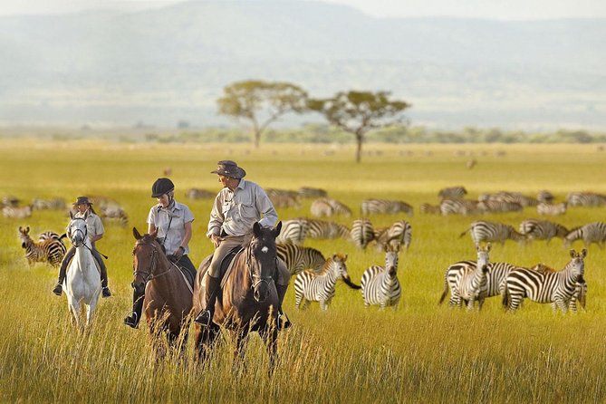 7 Day Joined Safari Serengeti,Ngorongoro,Manyara,Tarangire,Arusha National Park - Direction and Contact Information