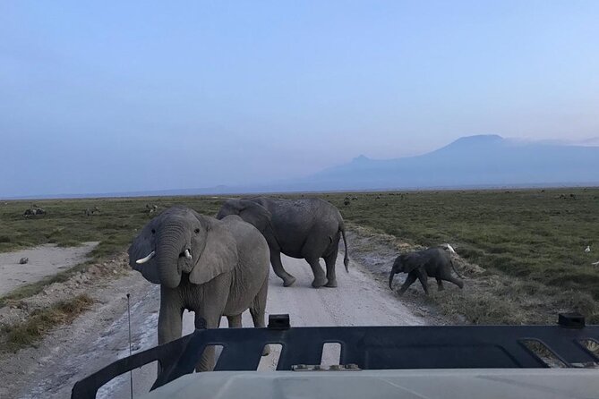 7-Day Kenya National Park Jeep Tour in 5-Star Luxury Lodges - Pickup and Logistics Information