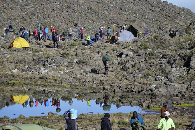 7-Day Kilimanjaro Trekking Tour via Machame Route - Participant Requirements