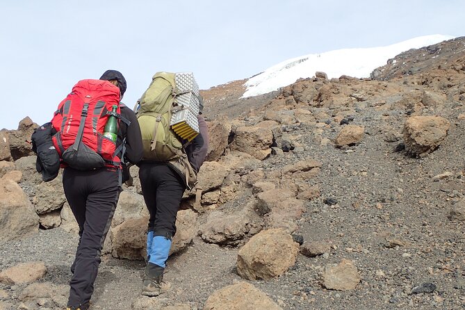 7-Day Kilimanjaro Trekking Tour via Machame Route - Customer Reviews