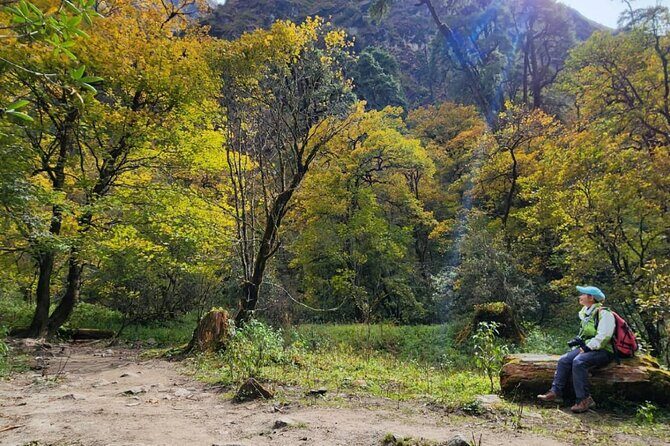 7-Day Langtang Valley Trek from Kathmandu - Introduction: Why the Langtang Valley Trek?