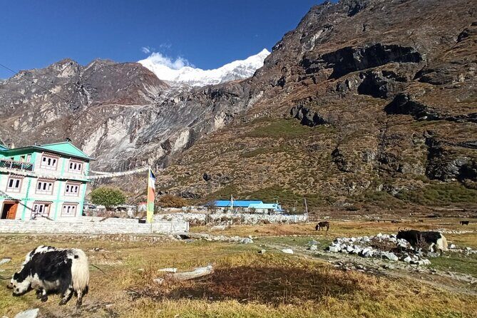 7-Day Langtang Valley Trek from Kathmandu - The Sum Up