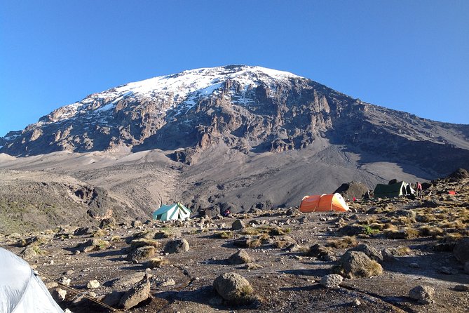 7-Day Lemosho Route Hiking in Kilimanjaro - Good To Know