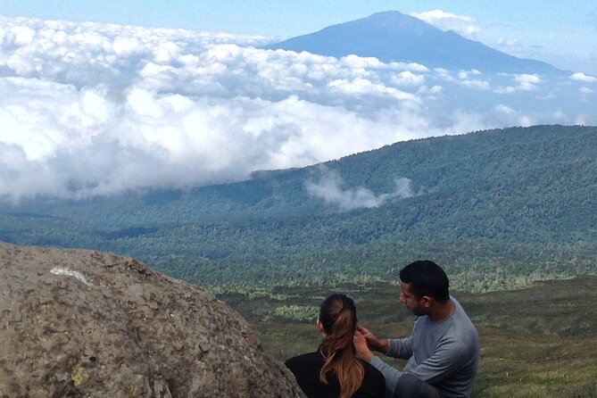 7-Day Lemosho Route Hiking in Kilimanjaro - Day 1: Starting Point