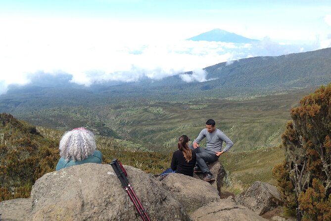 7-Day Lemosho Route Hiking in Kilimanjaro - Day 5: Summit Day