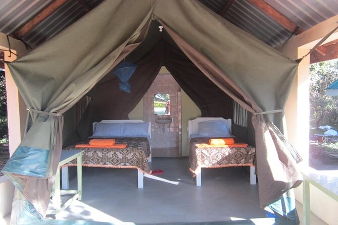 7-Day Maasai Mara Nakuru Lake Naivasha and Amboseli Safari - Meal Inclusions