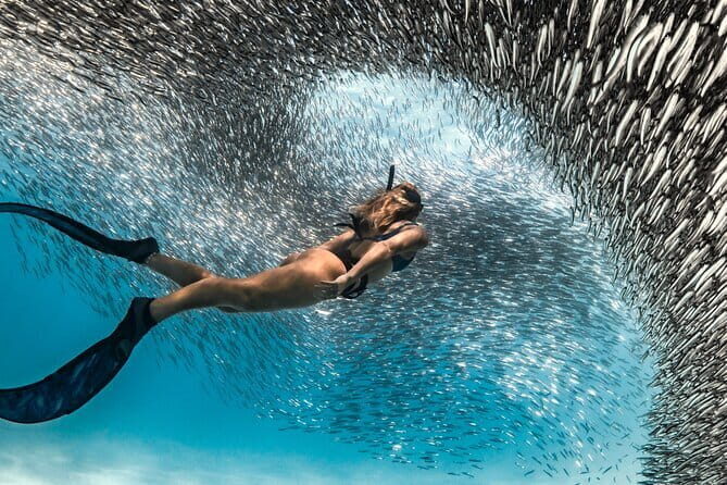 7-Day Maldives Adventure Snorkel Sun and Sand - Good To Know