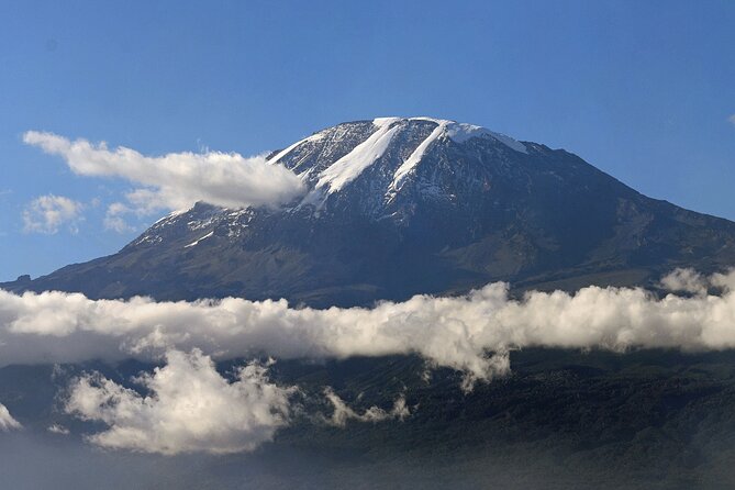 7-Day Mount Kilimanjaro Trekking - Altitude Sickness Prevention Tips