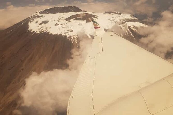 7-Day Mount Kilimanjaro Trekking - Wildlife Encounters