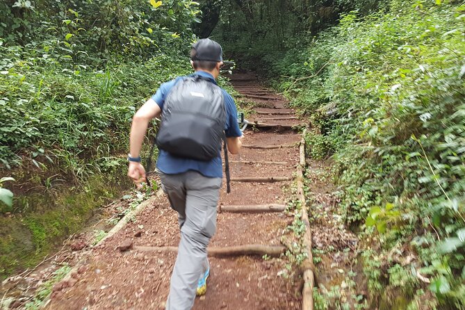 7-Day Mountain Climbing in Machame Route - Meal Plan Details