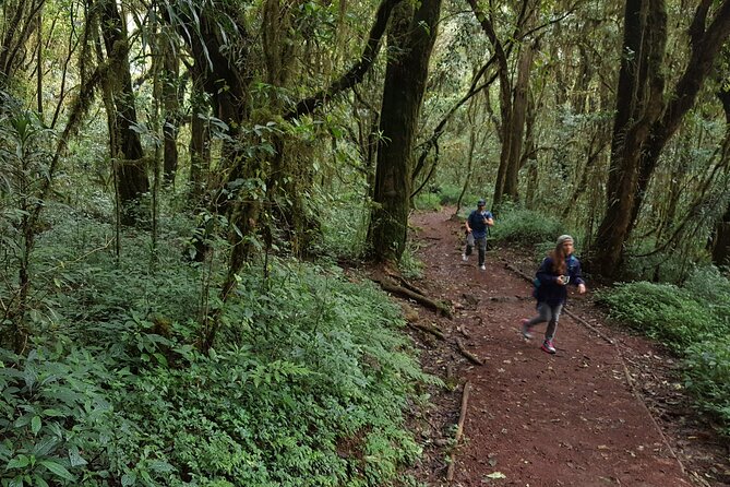 7-Day Mountain Climbing in Machame Route - Safety Precautions
