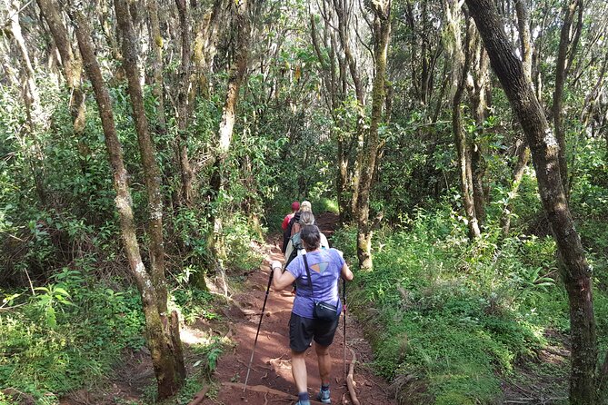 7-Day Mountain Climbing in Machame Route - Frequently Asked Questions