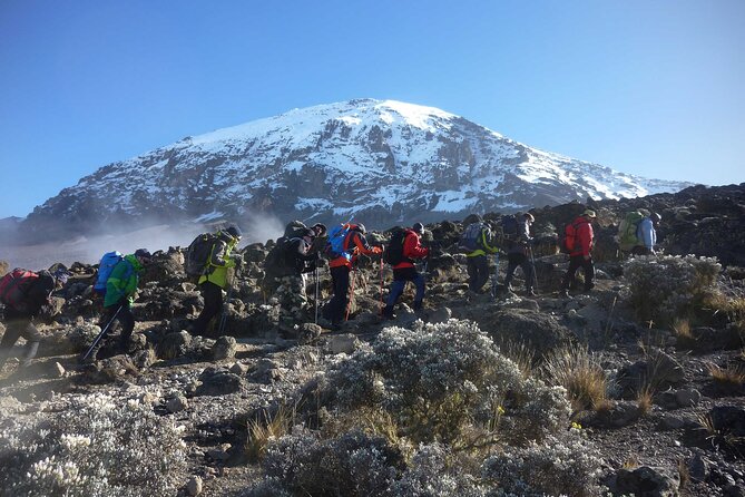 7-Day Mt. Kilimanjaro Hiking: Machame Route - Safety Tips