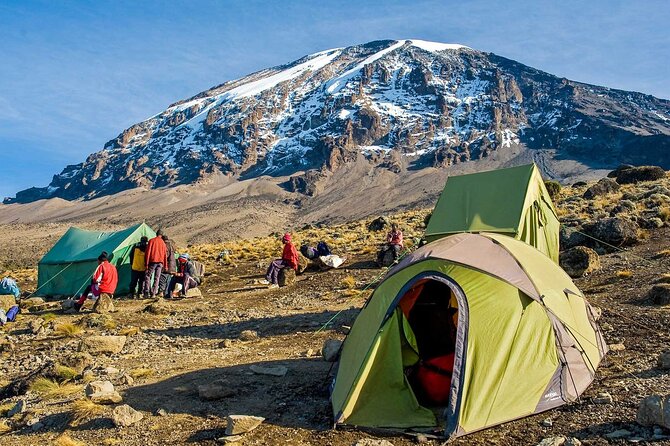 7-Day Mt. Kilimanjaro Hiking: Machame Route - Booking Information