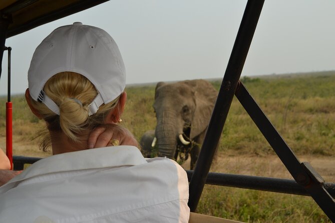 7-Day North Tanzania Classic Safari - Accommodation Options