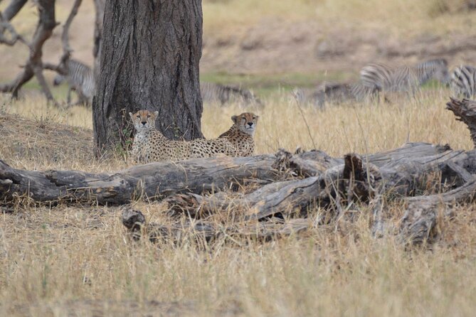 7-Day North Tanzania Classic Safari - Inclusions and Exclusions