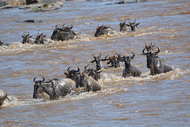 7-Day North Tanzania Classic Safari - Booking Information