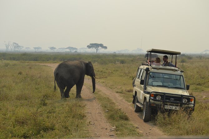 7-Day North Tanzania Classic Safari - Safety and Health Tips