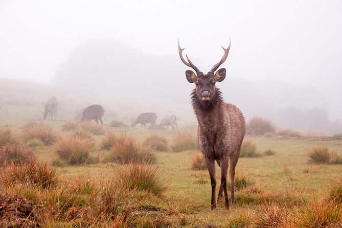 7-Day off the Beaten Nature and Wildlife Tour - The Sum Up