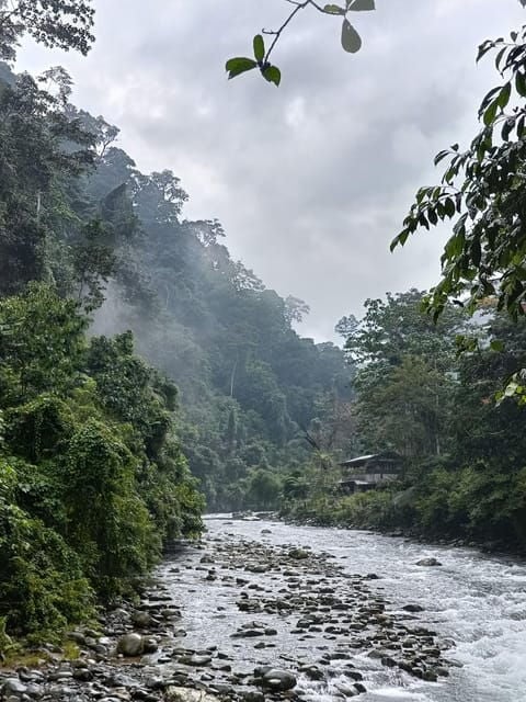 7-Day Orangutan Photo Adventure: Batu Kapal & Bukit Lawang - Key Points