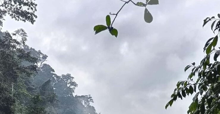 7-Day Orangutan Photo Adventure: Batu Kapal & Bukit Lawang - Itinerary Highlights