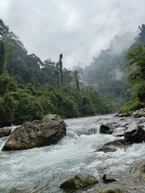 7-Day Orangutan Photo Adventure: Batu Kapal & Bukit Lawang - Cultural Experiences