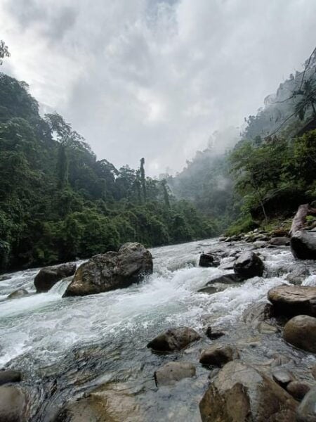 7-Day Orangutan Photo Adventure: Batu Kapal & Bukit Lawang - Questions You May Have