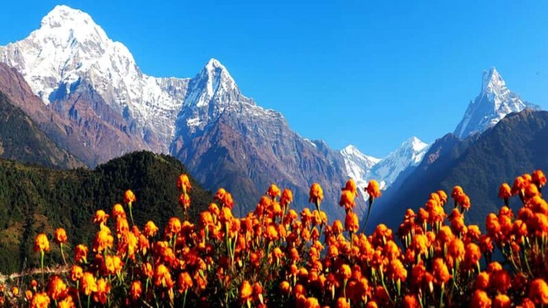 7-Day Poon Hill Trek with Guide and Accommodation - Good To Know