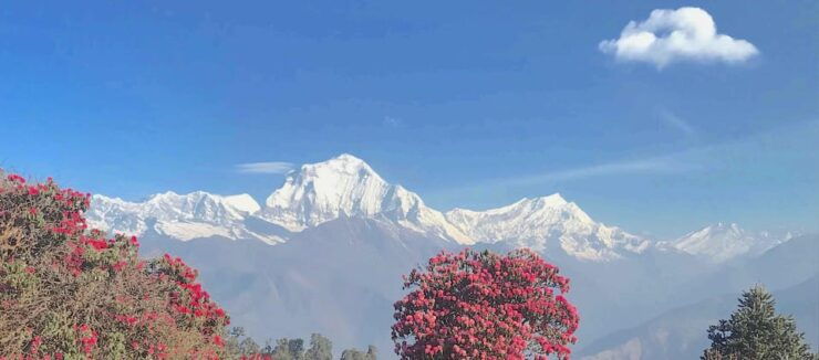 7 Day Poonhill Trek - Detailed Itinerary