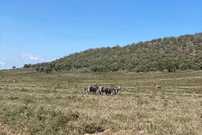 7-Day Private 4 Star Lodges Safari by 4WD Land Cruiser Jeep From Nairobi - Meals and Dining Options