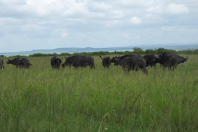 7-Day Private Camping Safari Tour in Kenya With Meals - Accommodation and Facilities Details