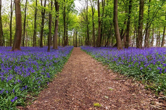 7-Day Private Driving Tour to the Gardens of The Cotswolds - Tour Highlights