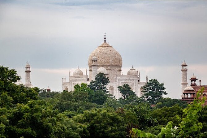7-Day Private Golden Triangle Tour - Forts Palaces and Wildlife Sanctuary - Accommodation Details