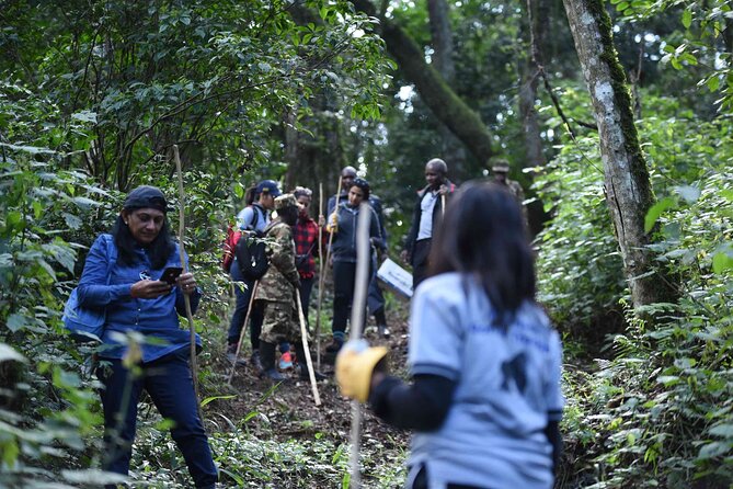 7-Day Private Gorilla Tracking and Wildlife Safari From Entebbe - Good To Know