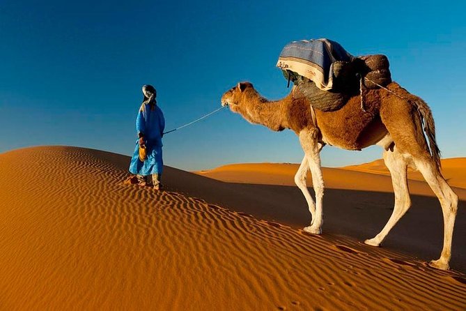 7-Day Private Guided Cultural Tour of Morocco From Casablanca - Inclusions and Logistics