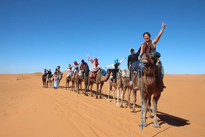 7-Day Private Guided Desert Tour From Casablanca to Marrakech - Tour Highlights