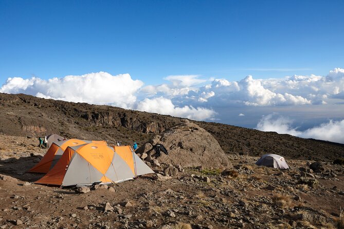 7-Day Private Kilimanjaro Hiking Tour via Machame From Arusha - Health and Fitness Requirements