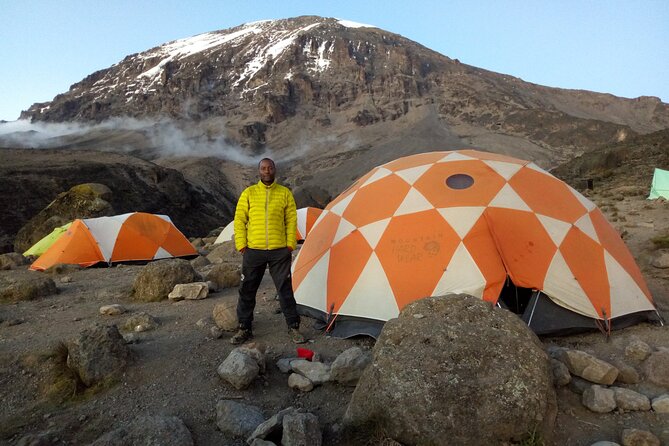 7-Day Private Rongai Route Tour With Kilimanjaro Climbing - Itinerary Highlights