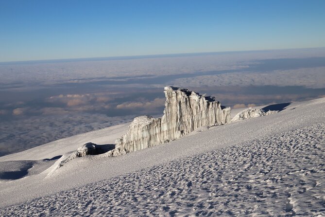 7-Day Private Rongai Route Tour With Kilimanjaro Climbing - Safety Measures