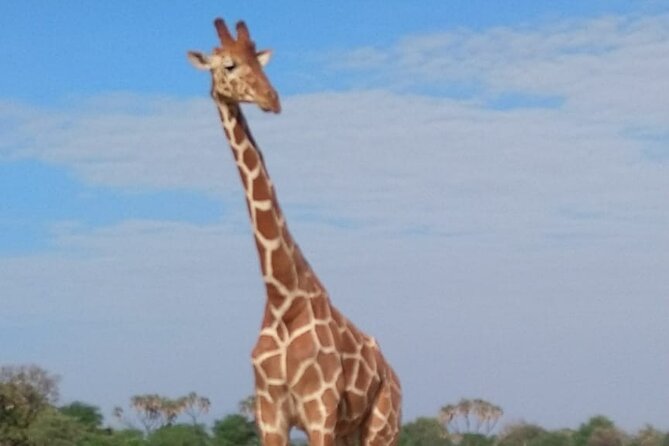 7-Day Private Safari to Amboseli National Park and Masai Mara - Travel Insurance Coverage