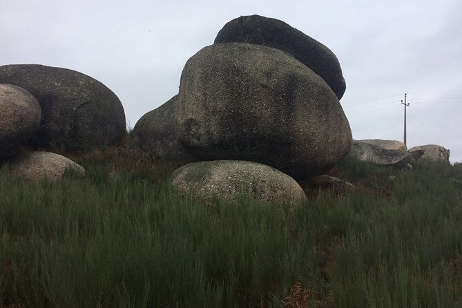 7-Day Private Star Raid in Valadares - Booking and Cancellation Policy