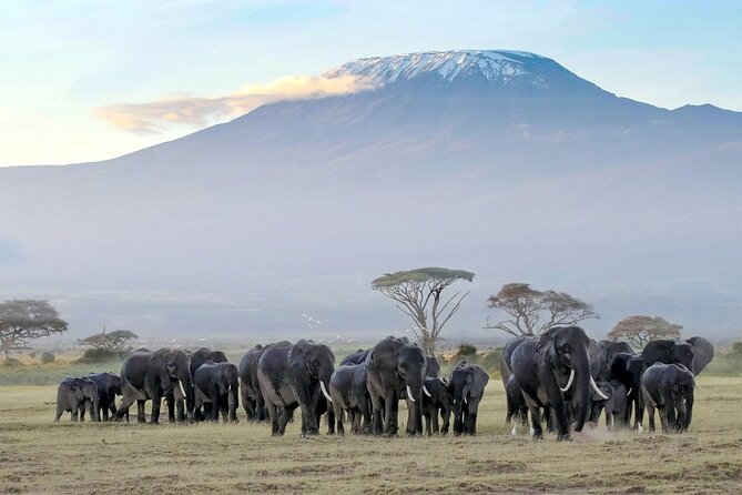 7-Day Private Tour in Kenyas National Parks - Accommodation Details