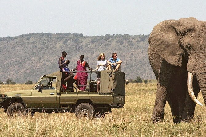 7-Day Private Tour in Kenyas National Parks - Frequently Asked Questions